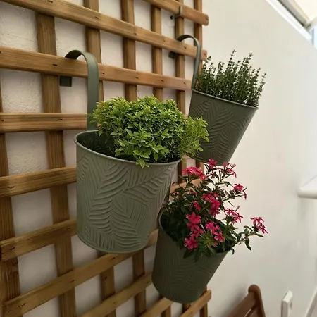 'nossia' & Cozy In Naxos Town Apartman *