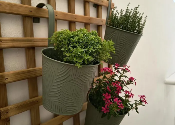 'nossia' & Cozy In Naxos Town Apartman *